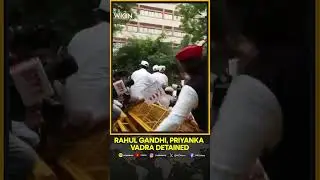 SIR Protests: India's Opposition Leader Rahul Gandhi Detained Amid Protest Against Bihar's EC | WION