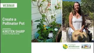 Webinar: Create a Pollinator Pot
