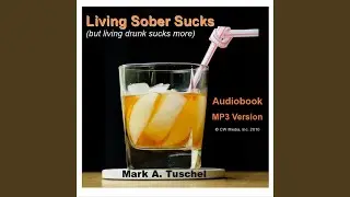 Chapter 3 - Drinking seemed normal to me / Living Sober Sucks