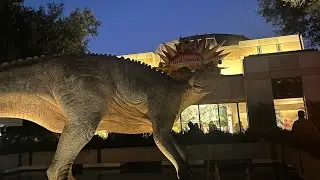 It was fast, it was a blast, now it&rsquo;s in the past&hellip; Goodbye, DinoLand USA 🥺