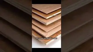 Transforming wood into wonder #plywood #wood #shorts #shortsvideo #facts #woodworking