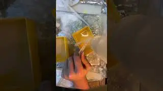 Carving a Chain Link out of Glass
