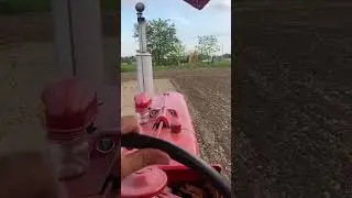 Working the Farmall M #farmall #farming