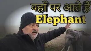 यहाँ आते हैं Elephants 🐘 REAL LIFE, REAL VIBES 🌈 Life Around Jim Corbett  @david_therider 