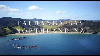 Tauranga Bay Views!  - 5.5 ha Lifestyle block FOR SALE - Te Kahikatoa Peninsula Rd