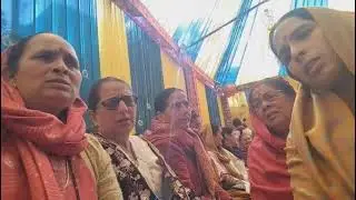 🌹 bete ki shaadi me gaya Jane wala geet 🌹 (घोड़ी )   #himachaliculture #pahadigeet 
