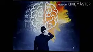 التغذية الراجعة feedback  ا.د.سعيد غني نوري