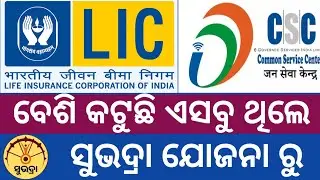 LIC Agent & CSC Vle & ITR & Loan ଥିଲେ✅ ସୁଭଦ୍ରା ଯୋଜନାରୁ ନାମ କାଟୁଛନ୍ତି ❌Subhadra yojana new update 