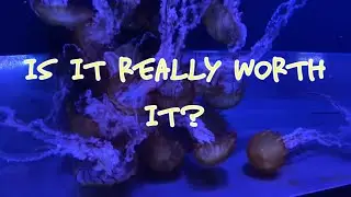SKYTREE/SUMIDA AQUARIUM TRAVEL GUIDE | IS IT REALLY WORTH IT ? 東京スカイツリー、隅田水族館