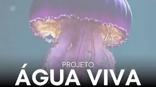 &Aacute;gua Viva Livro O Poder do Agora Encontro 3