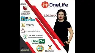 DealShaker через год  март2018г