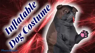 Inflatable Dog Costume