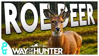 Competition for the BEST Roe Deer In Lintukoto Reserve | Way of the Hunter