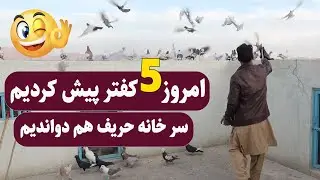 0414 / امروز پنج کفتر پیش کردیم سر خانه حریف هم دواندیم / Afghan Shawqi