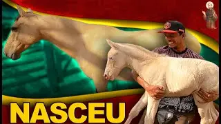 Nossa égua Diana Pariu!!!