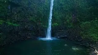 Nandroya Falls hike Far North Queensland