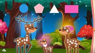 Learn Shapes and Numbers in this Magical Forest- Learning and Interactive Video for Kids/Toddlers