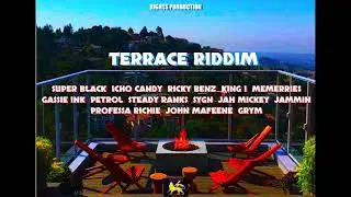 Steady Ranks - Heal Us - Terrace Riddim