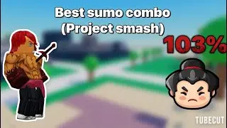 This sumo combo is OP in project smash