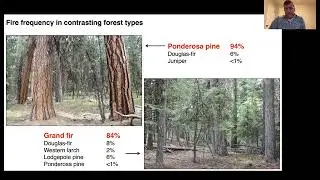 Fire Ecology of Oregon Forests: Eastside Moist & Sub/Alpine Forests  @oregonstateextension