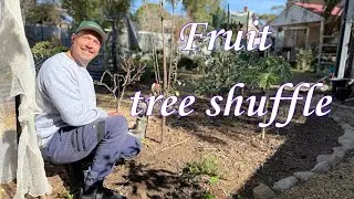 Moving around my fruit trees and sharing exciting news. || Gardening with Michael || Garden VLOG