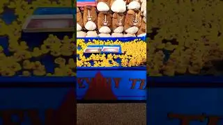 Yellow colour Baby duck🐥তাশদীদ নিতে চায় 😎 #shorts #viral #babytoys #toyshop #shortsfeed #shopping