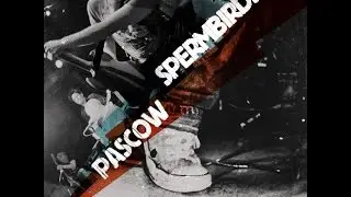 Spermbirds - Running in Front of Cars