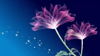 ወይኔ ሀቢባ  የፖሊስ አጠያየቅ ይመችሽ ሀቡ💐💐💐💐