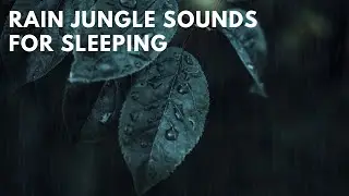 Rain Jungle Sounds - Peruvian Amazonian Rain