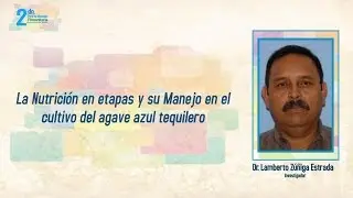 La Nutrición en etapas y su Manejo  - Dr. Lamberto Zuniga Estrada