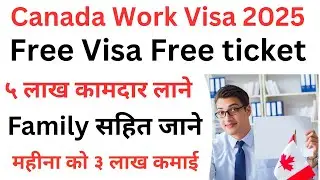 Canada open new ￼ free work visa 2025 | new brunswick critical worker pilot program how to apply |