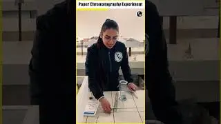 Check Here Paper Chromatography Experiment 🧪 #Shorts #PhysicsWallah