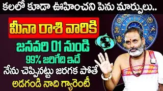 Meena Rashi 2026 Predictions