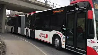 Busse in Goldau.