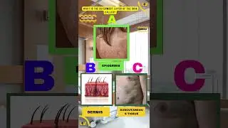 health quiz Daily Knowledge - #quiz  #usa  #quizze #doctor