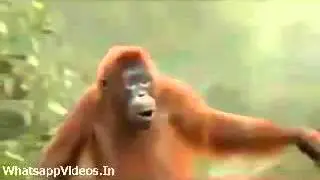 Eppedi
