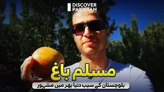Apples of Muslim Bagh, Balochistan are famous all over the world | Madventure