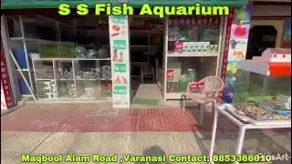 SS Fish Aquarium