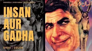 Rangeela Pakistani Lollywood Movie / RCTF