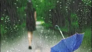 복면가왕 [앤씨아] -  잃어버린 우산