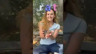 Spell Rat - I Say You Say #rat #3letterword #cuteanimal #funnyanimal