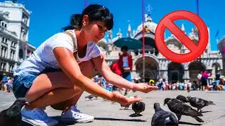 Top 10 Weirdest Laws From Around The World