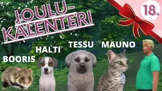 Uudet lemmikit ja Harrin kuntokuuri! 🐶🐱 #18 | JOULUKALENTERI | SIMS 4