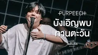 บังเอิญพบทานตะวัน x PURPEECH「 LIVE @เพลินจิต x Phuket 」