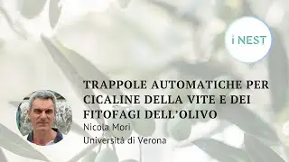 Trappole automatiche per il monitoraggio delle cicaline della vite e dei fitofagi dell&rsquo;olivo