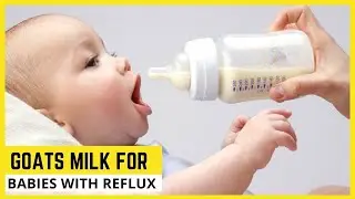 Is Goat's Milk Good For Babies With Reflux??👶Goat Milk Benefits-Check It Out!