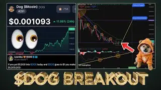 $DOG Essential Breakout Confirmed 🎯 (What's Next?)