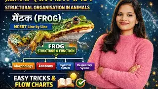 प्राणियों में संरचनात्मक संगठन | मेंढक (Frog) | NCERT Line by Line हिन्दी | NEET 2026/ 11th
