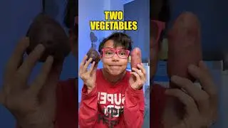 🥕🌱 Learn Vegetables That Grow Underground! 🥔 Fun for Kids 🎉