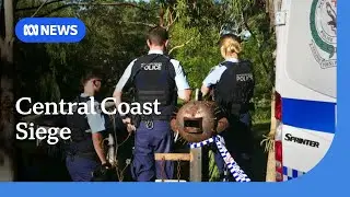 Man shot dead by police during siege on NSW Central Coast | ABC NEWS